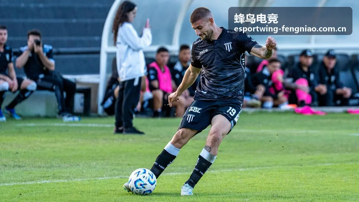 蜂鸟电竞精选赛事专题